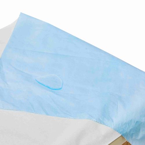 الصين Telijie Disposable Bed Sheet Roll, PP+PE Non-Woven Fabric Multi-Color, Waterproof for Hotel, Home & Travel الصانع